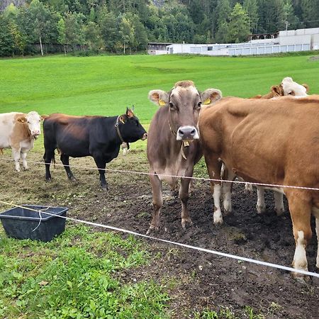 Ferienhof Bichlhof Arzl im Pitztal Dış mekan fotoğraf