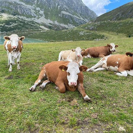 Ferienhof Bichlhof Arzl im Pitztal Oda fotoğraf